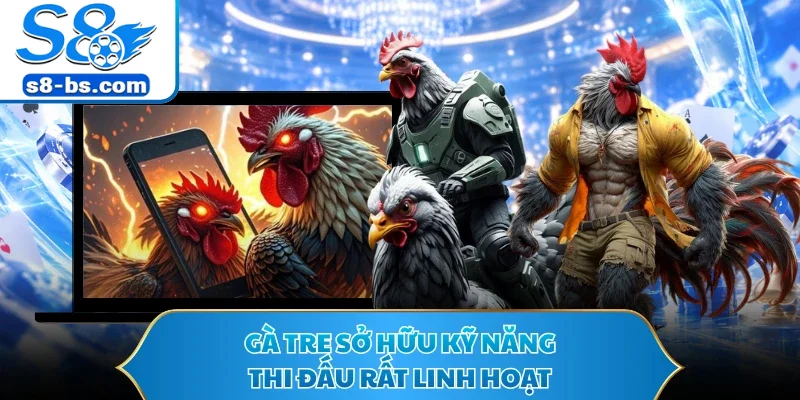 Gà tre sở hữu kỹ năng thi đấu rất linh hoạt
