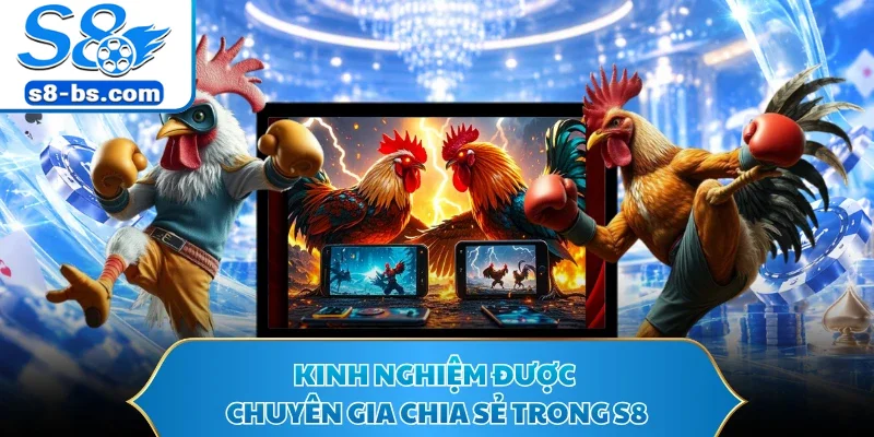 Kinh nghiệm được chuyên gia chia sẻ trong S8