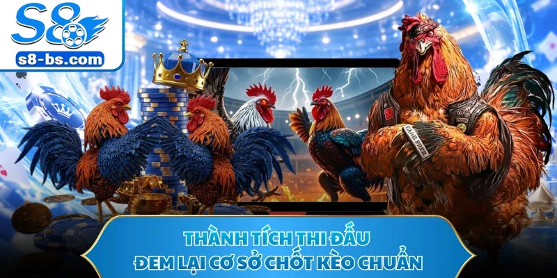 Thành tích thi đấu đem lại cơ sở chốt kèo chuẩn