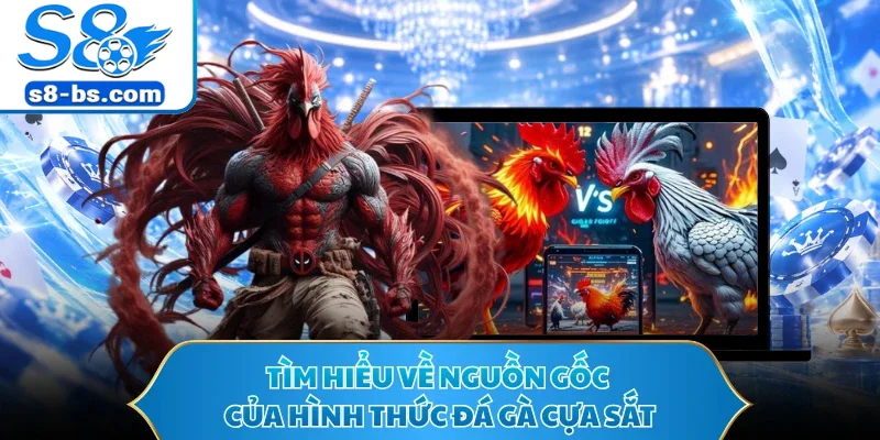 Tìm hiểu về nguồn gốc của hình thức đá gà cựa sắt